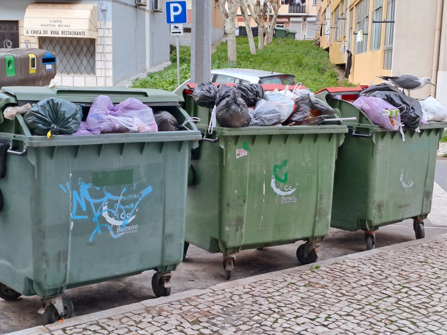 Carta ao Director Até quando continuaremos a viver no Bairro do Lixo?