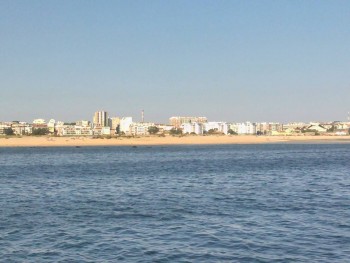 Concelhia do Barreiro da Juventude Popular Manifesta-se contra a ideia «Lisbon South Bay»