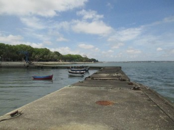 Barreiro - Mariscadores do Estuário do Tejo PCP exige que sejam criadas condições para exercer actividade em segurança