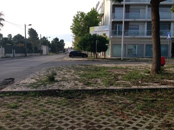 PSD Barreiro Acusa Câmara de deixar Urbanização Casas de Santo António ao abandono