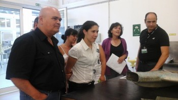 Bloco de Esquerda visitou Centro de Formação Profissional de Setúbal O distrito de Setúbal é particularmente afetado pelo desemprego