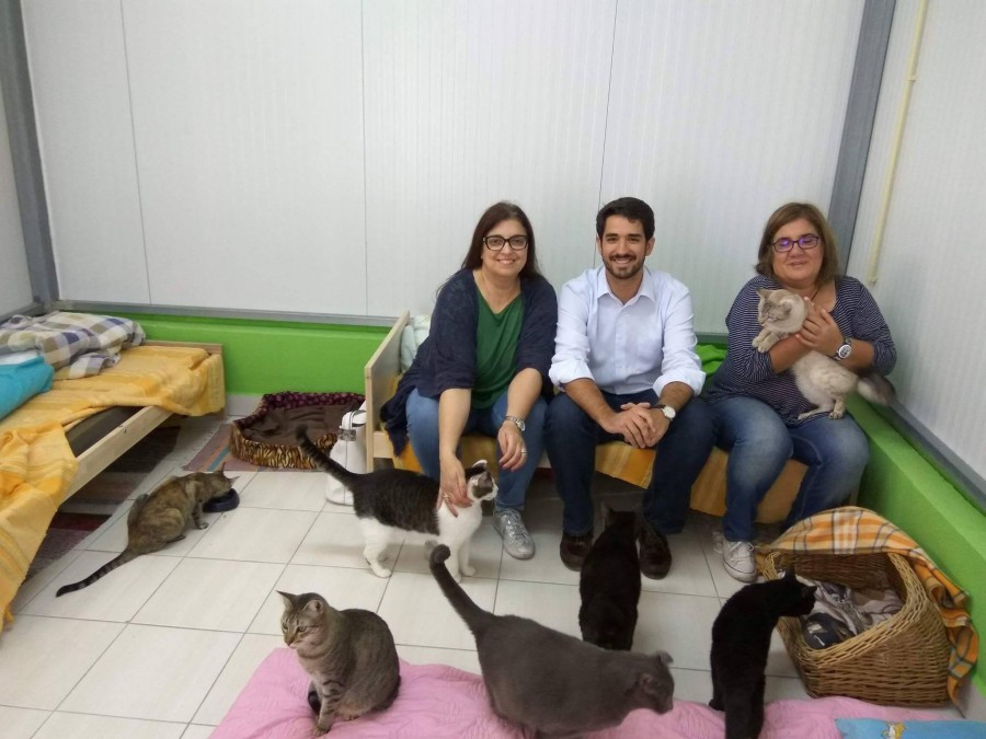 Barreiro - Candidatos do CDS Visitam SOS Bicharada