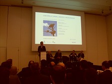 GRÂNDOLA - Região do Alentejo apresenta resultados turísticos positivos Só na península de Troía estão investidos mais de 400 milhões de euros