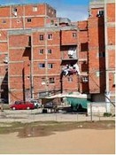 Vereadores Socialistas do Seixal Visita ao Bairro da Jamaica