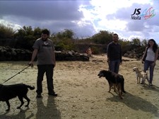 Associação dos Amigos dos Animais Abandonados da Moita Recebe visita de Juventude Socialista