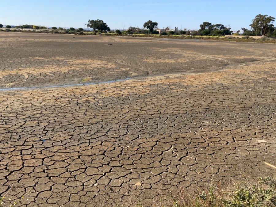 Vereadores CDU na reunião da Câmara Municipal do Barreiro Questionam acerca de alegado «crime patrimonial e ambiental em alburrica»