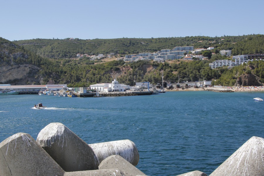 No âmbito do início da safra da sardinha. Secretária de Estado das Pescas, Teresa Coelho em Sesimbra