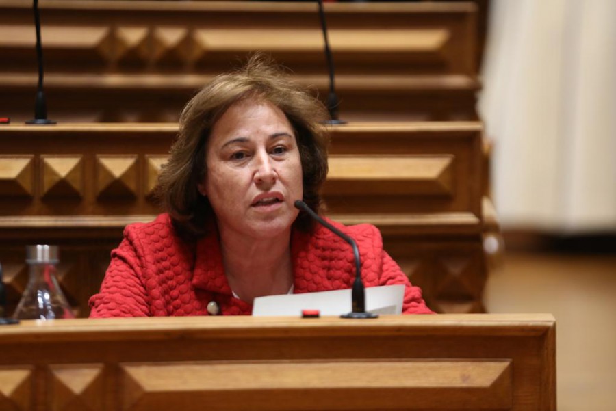 Alcácer do Sal - Posto da Docapesca na Carrasqueira vai ser requalificado Garante secretária de Estado das Pescas à deputada socialista Clarisse Campos