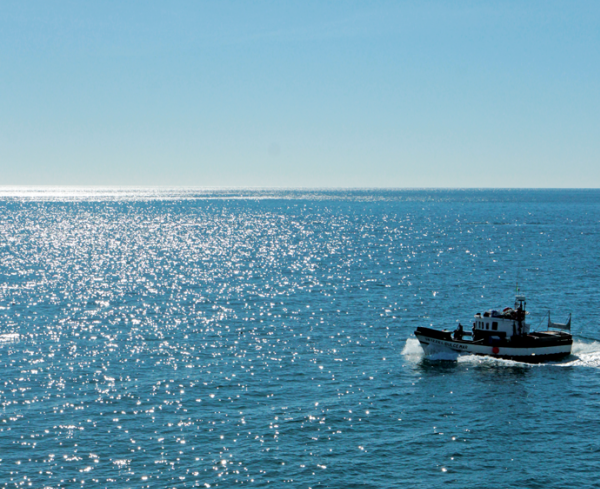 Sesimbra - PCP apresentou na Assembleia da República diplomas que defendem Apoio e valorização da pequena pesca artesanal costeira