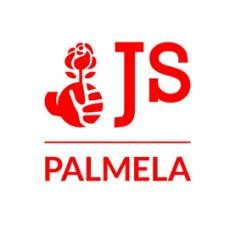 Barreiro - Ricardo Marques novo líder da Juventude Sociallista Bruno Grazina, renunciou ao mandato por razões pessoais