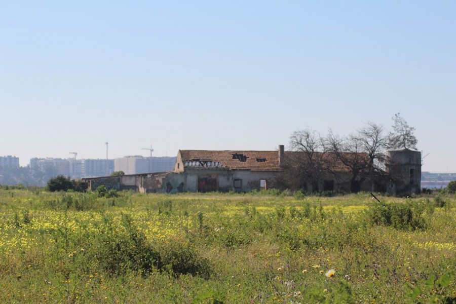 Grupo CDU Assembleia Municipal do Barreiro Considera ferida de nulidade «Resolução Fundamenta» sobre Quinta Braamcamp