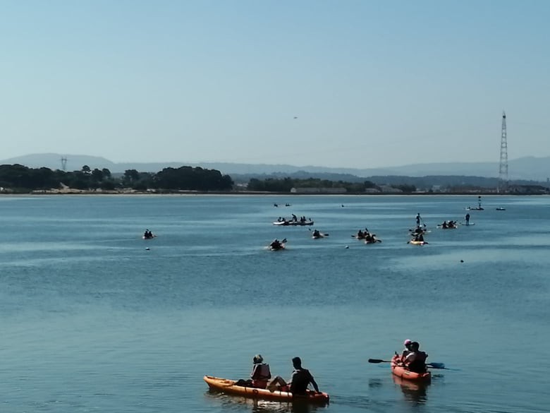 Deputados PS no círculo de Setúbal pedem soluções para Rio Coina ASSOREAMENTO TRAVA ATIVIDADE PISCATÓRIA NO BARREIRO