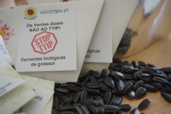 Os Verdes em ação contra o TTIP em Almada Com distribuição de documento e sementes de girassol