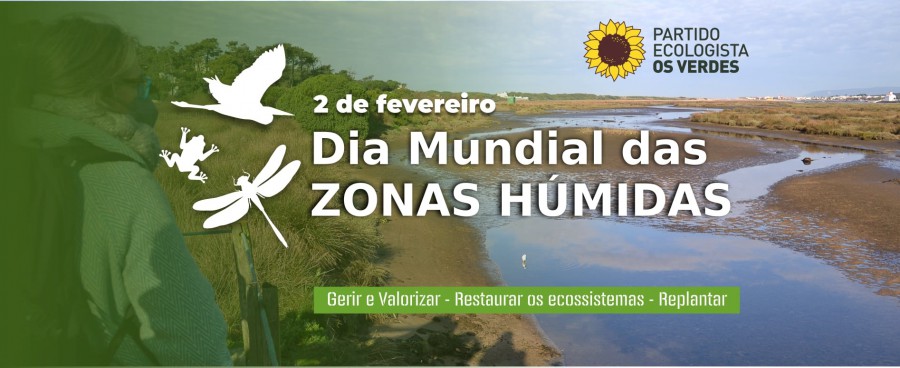 Os Verdes reafirmam que projetos destrutivas das zonas húmidas não podem continuar Travar aeroporto no Montijo ou culturas intensivas no litoral alentejano
