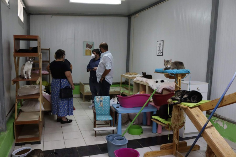 CDS-PP Barreiro visita SOS Bicharada e defende incentivos à adoção de animais e protocolos com as associações de proteção animal