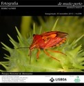 Mário Gomes fotógrafo do Barreiro Exposição no Centro de Interpretação de Monsanto “DE MUITO PERTO - ARANHAS E INSETOS”