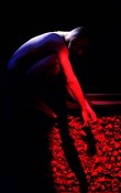 Companhia Portuguesa de Bailado Contemporâneo dança no Seixal