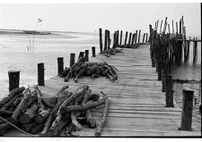 Em Alcácer do Sal Cais Palafítico da Carrasqueira em exposição fotográfica