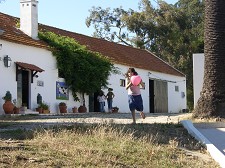 No Espaço J – Barreiro Exposição “Artes – Linguagem dos Afectos”
