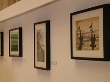 Em Alcácer do Sal Olhares sobre o Concelho em exposição