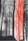 Seixal Recebe exposição de gravura de Margarida Lourenço
