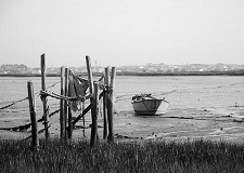 Exposição no Montijo “Distância que nos une”