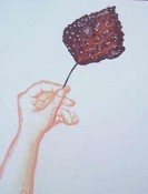 Exposições de Pintura em Sesimbra «Pintura Sumi-e e Sustentablidade" e «Estudos de Paisagem»