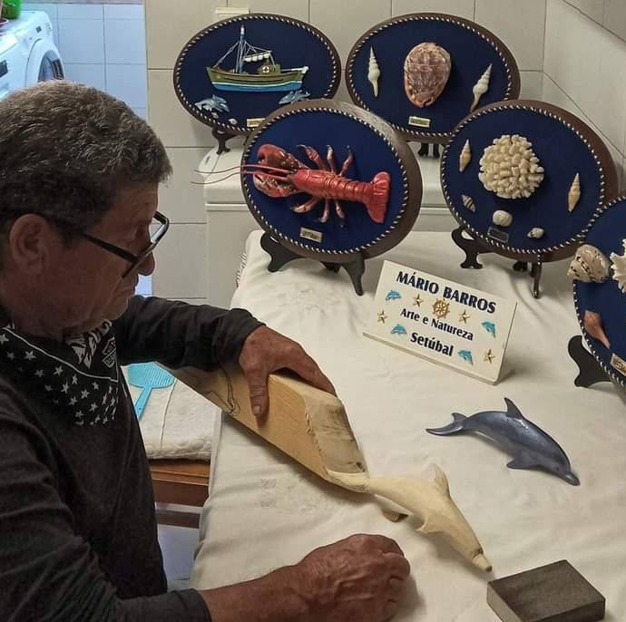 Setúbal - Na Escola Conde de Ferreira Exposição «Setúbal é Mar» de Mário Barros