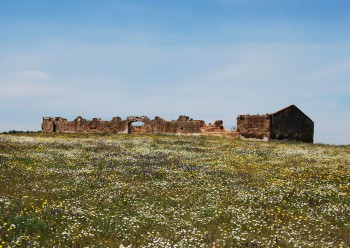 Na Biblioteca Municipal de Ourique Exposição de fotografia «É Tão Grande o Alentejo» . Tânia Pinto colaborou com o «Jornal do Barreiro»