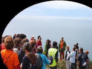 Caminhada Solidária em Sesimbra