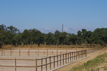 Alcochete e Palmela Projeto da Sociedade Agrícola visa a recuperação de Herdade histórica RIO FRIO RECEBE PRIMEIRA PROVA EQUESTRE EM OUTUBRO