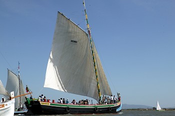Moita Varino «O Boa Viagem» continua a navegar no Tejo