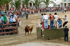 Na Moita Feira de Maio e Noivas & Noivos em simultâneo