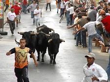 É tempo de Festa na Moita Festa em Honra de Nossa Sr.ª da Boa Viagem