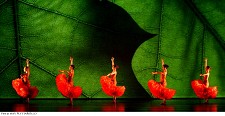 A magia dos Momix volta ao palco do Casino Lisboa com um espectáculo de carreira