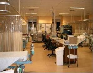 No Salão Nobre do Hospital de São José Comemoração dos 10 anos de actividade da UCV