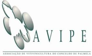 Associação de Vitivinicultura do Concelho de Palmela Promove Colóquio sobre assuntos de agricultura na região da Península de Setúbal