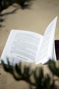 Livros de volta à Praia do Rosário na Moita