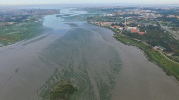 Barreiro - Assinala Dia da Floresta Autóctone Atividades no Centro de Educação Ambiental da Mata da Machada e Sapal do Rio Coina
