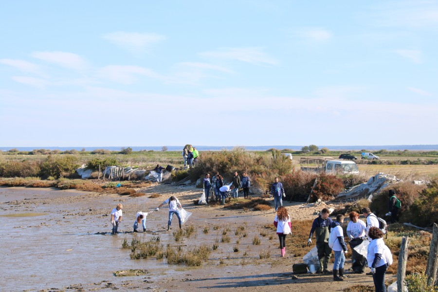 Mais de duas centenas de «voluntários do mar» em Alcácer do Sal LIMPARAM CAIS DA CARRASQUEIRA E DO POSSANCO