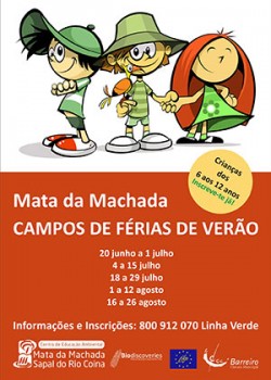 Barreiro - Campos de Férias na Mata da Machada Vão ser alargados a jovens dos 13 aos 15 anos