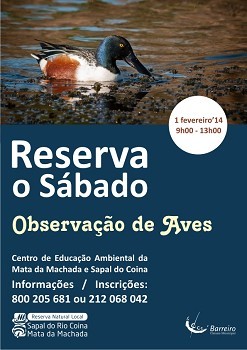 Observação de Aves no Barreiro «RESERVA O SÁBADO» hoje dia 1 fevereiro