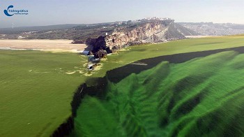 ONDA DA NAZARÉ, COMO SE FORMA?
