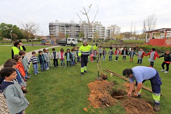 Cerca de 300 crianças do pré-escolar e do 1.º ciclo de Setúbal Plantaram choupos, freixos e gincos para comemorar o Dia Mundial da Árvore