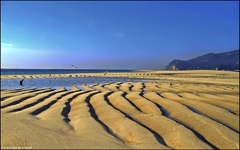Região de Lisboa candidata 25 praias à Bandeira Azul Quatro em Almada, quatro em Sesimbra e uma em Setúbal