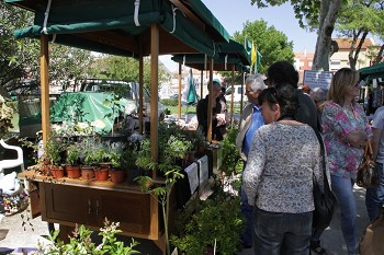 Integrada na Feira de Maio – Moita Biofesta 10 anos a valorizar benefícios da agricultura biológica
