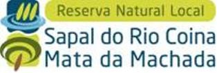 Barreiro - Reserva Natural Local do Sapal do Rio Coina e Mata Nacional da Machada Bruno Vitorino Presidente da Comissão . Vereador Rui Lopo Vogal