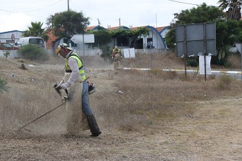 Alcácer do Sal - CMAS promoveu intervenção de limpeza e melhoria do espaço público na Comporta
