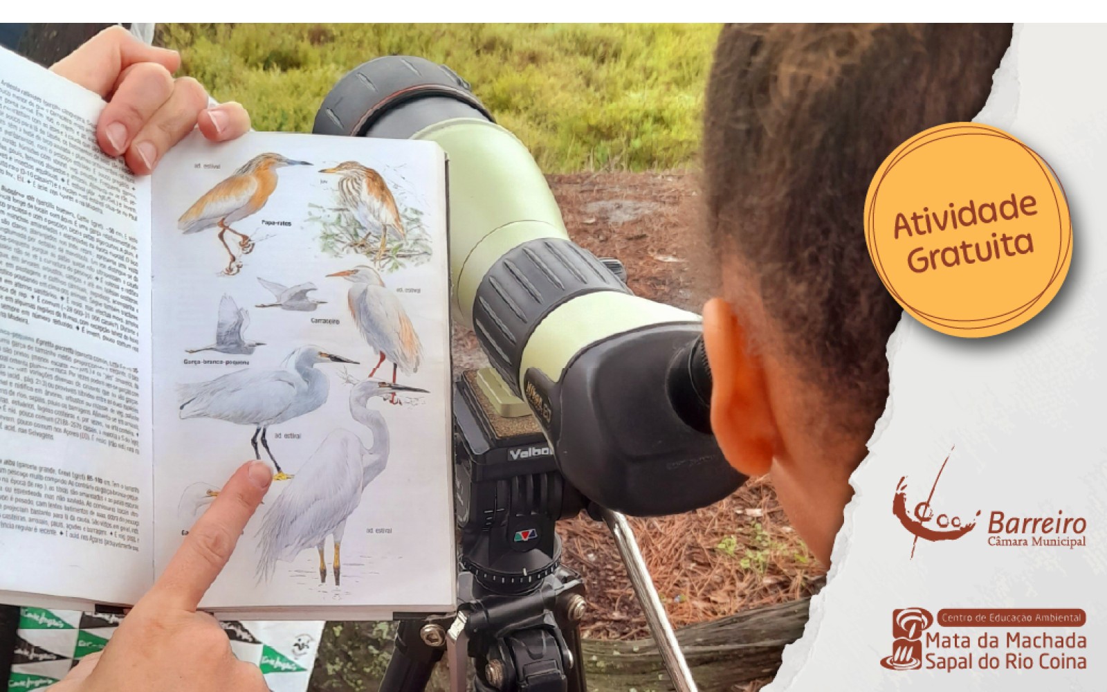 Barreiro - Centro de Educação Ambiental ‘Reserva no Outono’ agendada a iniciativa “Aves do Sapal . Dia 10 de outubro
