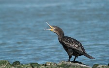 No Montijo Exposição “Tejo, Fonte de Vida”